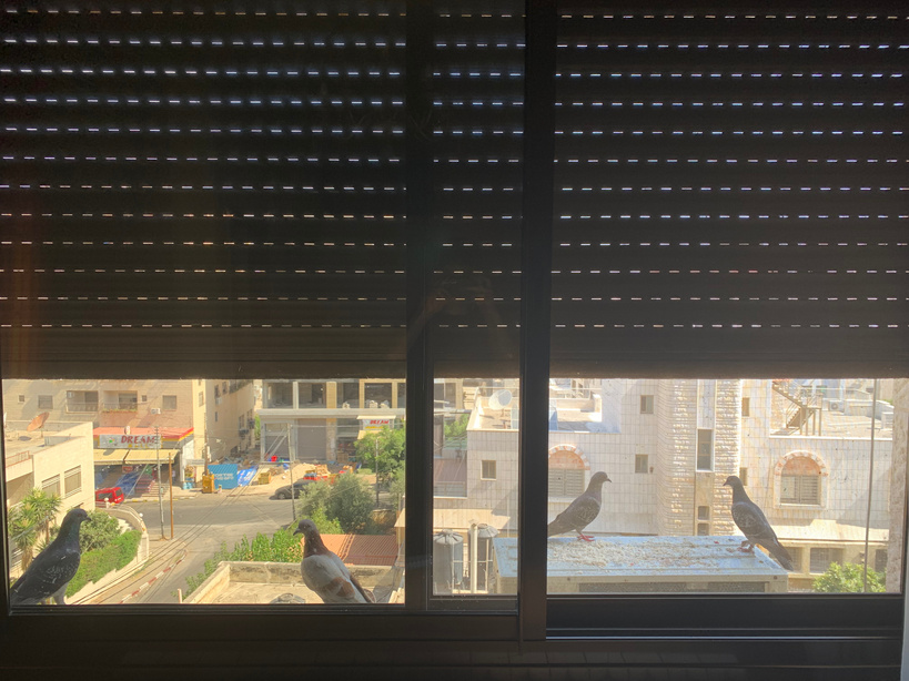 ghernatah view